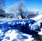 �ӱ�ľ��Χ��֮����(������)