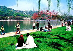 107996-00020_���������׵�(���ٿ�)